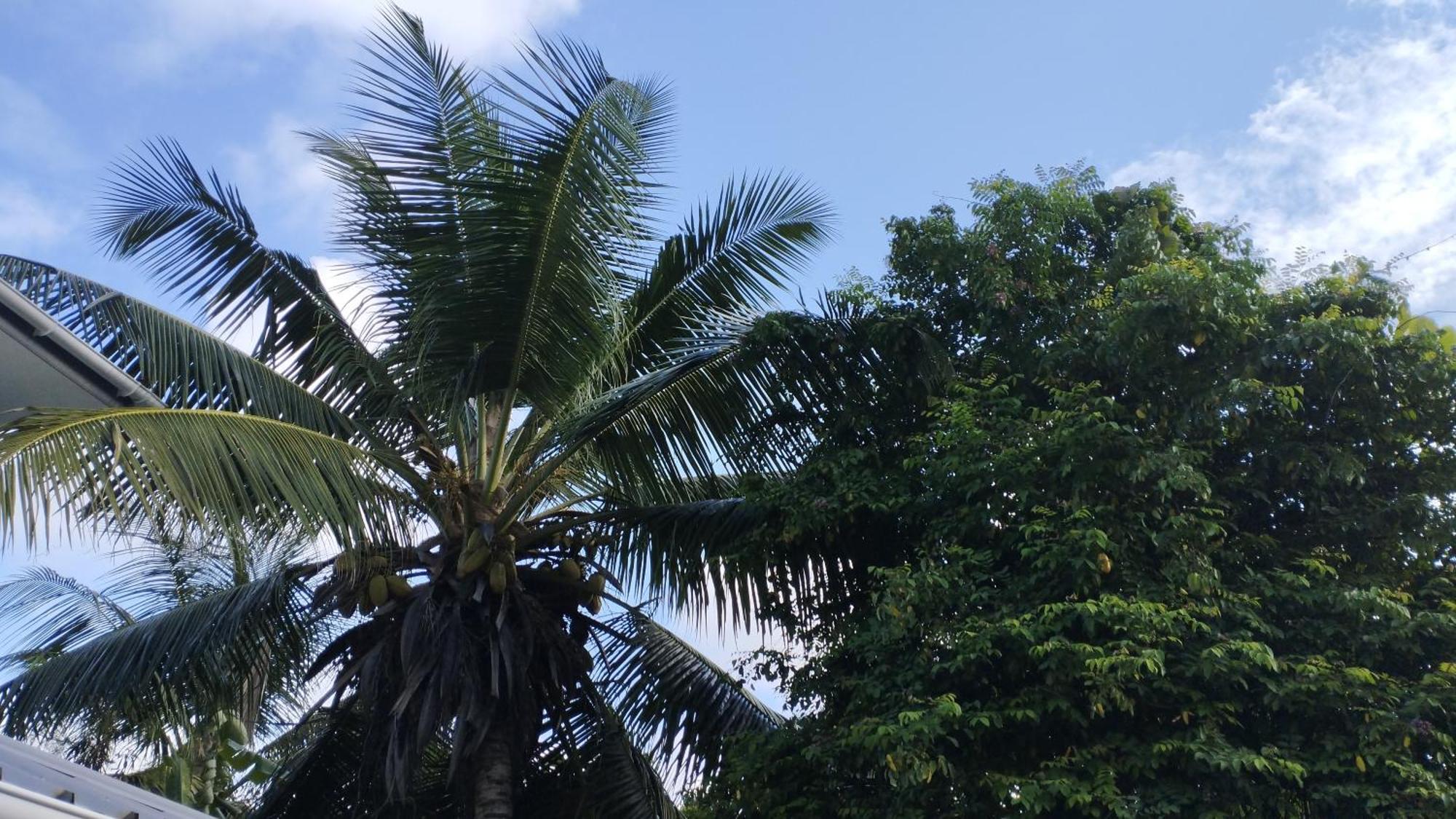 Dovass Self Catering Apartments Takamaka Ngoại thất bức ảnh