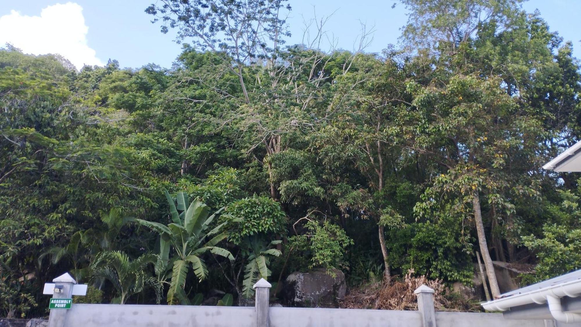 Dovass Self Catering Apartments Takamaka Ngoại thất bức ảnh